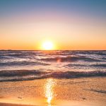 pexels-trupert-1032650