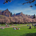 washingtonskiy-universitet-10