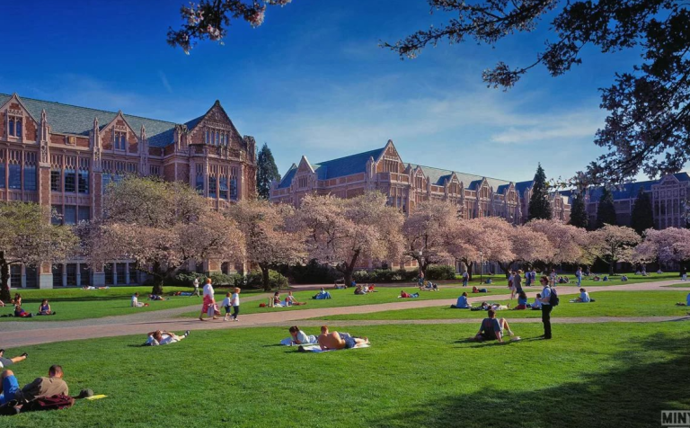 washingtonskiy-universitet-10