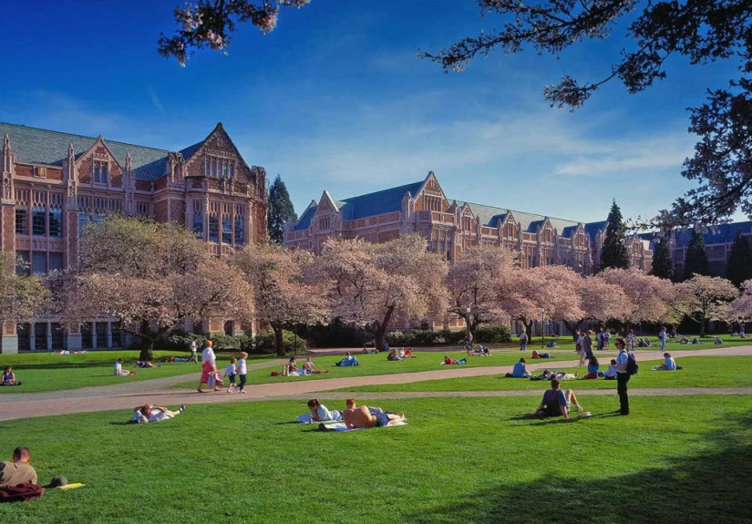 washingtonskiy-universitet-10